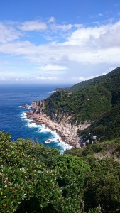 西部林道の風景