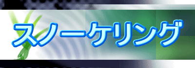スノーケリング