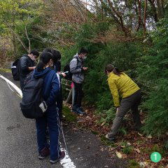 屋久島学校研修植生垂直分布調査""