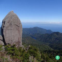 屋久島太忠岳天柱石""