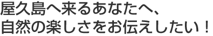 屋久島へ来るあなたへ、自然の楽しさをお伝えしたい！