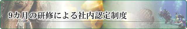 9カ月の研修による社内認定制度