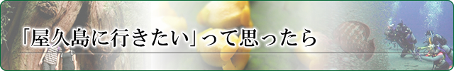 「屋久島に行きたい」って思ったら