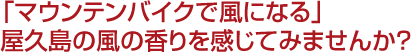 「マウンテンバイクで風になる」