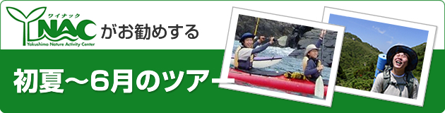 初夏～6月のおすすめ