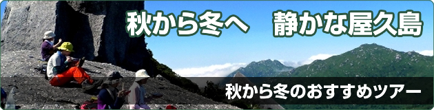 秋から冬へ　静かな屋久島