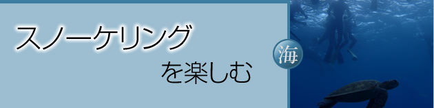 スノーケリングを楽しむ