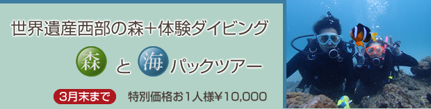 世界遺産西部の森＋体験ダイビング　森と海パックツアー