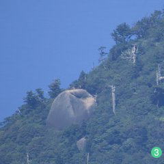 屋久島白谷雲水峡太鼓岩""